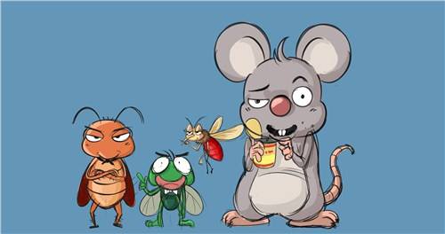 重慶滅蟑螂 家里有蟑螂怎么辦？